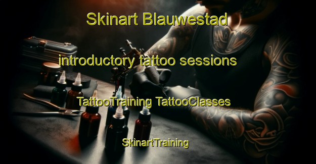 Skinart Blauwestad introductory tattoo sessions | #TattooTraining #TattooClasses #SkinartTraining-Netherlands