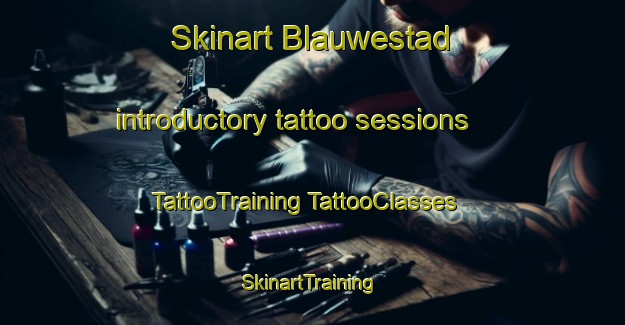 Skinart Blauwestad introductory tattoo sessions | #TattooTraining #TattooClasses #SkinartTraining-Netherlands