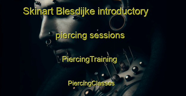 Skinart Blesdijke introductory piercing sessions | PiercingTraining | PiercingClasses | SkinartTraining-Netherlands