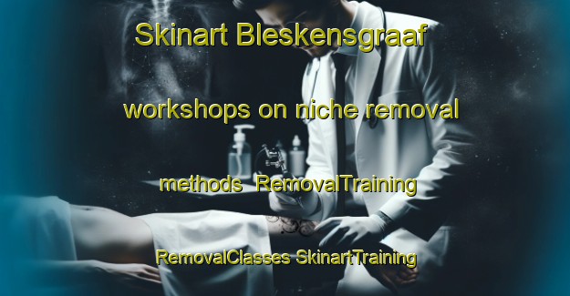 Skinart Bleskensgraaf workshops on niche removal methods | #RemovalTraining #RemovalClasses #SkinartTraining-Netherlands