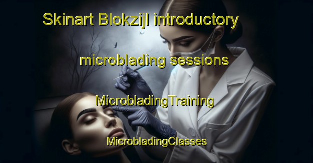 Skinart Blokzijl introductory microblading sessions | #MicrobladingTraining #MicrobladingClasses #SkinartTraining-Netherlands