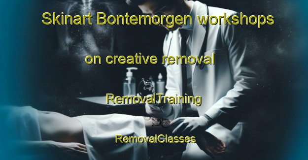 Skinart Bontemorgen workshops on creative removal | RemovalTraining | RemovalClasses | SkinartTraining-Netherlands