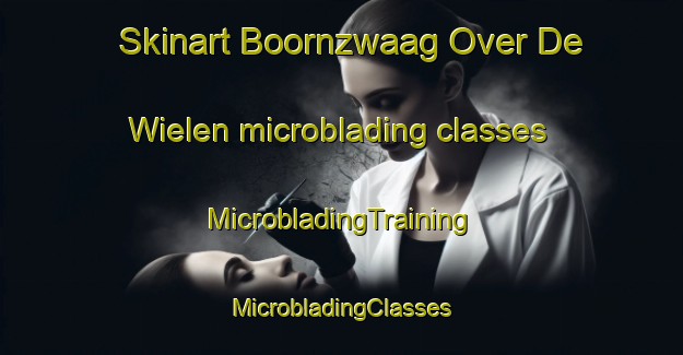 Skinart Boornzwaag Over De Wielen microblading classes | #MicrobladingTraining #MicrobladingClasses #SkinartTraining-Netherlands