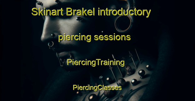 Skinart Brakel introductory piercing sessions | #PiercingTraining #PiercingClasses #SkinartTraining-Netherlands