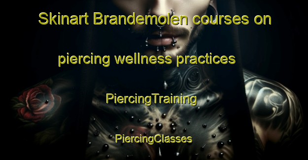 Skinart Brandemolen courses on piercing wellness practices | #PiercingTraining #PiercingClasses #SkinartTraining-Netherlands