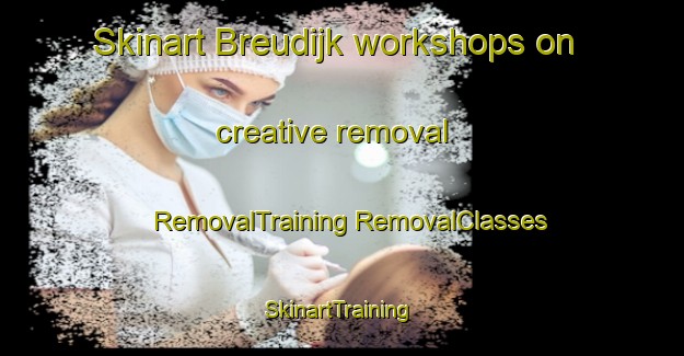 Skinart Breudijk workshops on creative removal | #RemovalTraining #RemovalClasses #SkinartTraining-Netherlands