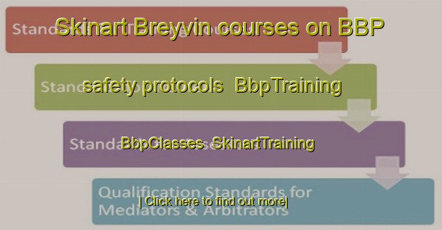 Skinart Breyvin courses on BBP safety protocols | BbpTraining | BbpClasses | SkinartTraining-Netherlands