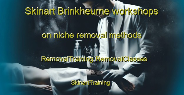 Skinart Brinkheurne workshops on niche removal methods | #RemovalTraining #RemovalClasses #SkinartTraining-Netherlands