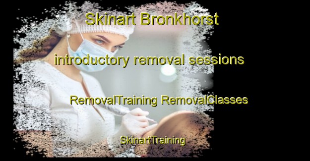 Skinart Bronkhorst introductory removal sessions | #RemovalTraining #RemovalClasses #SkinartTraining-Netherlands