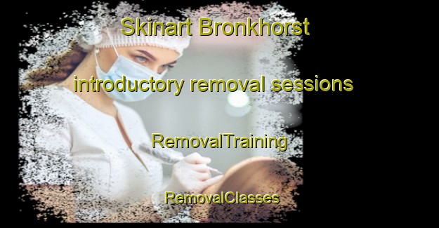 Skinart Bronkhorst introductory removal sessions | RemovalTraining | RemovalClasses | SkinartTraining-Netherlands