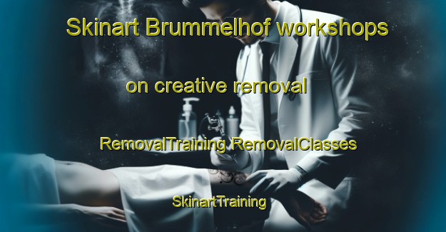 Skinart Brummelhof workshops on creative removal | #RemovalTraining #RemovalClasses #SkinartTraining-Netherlands