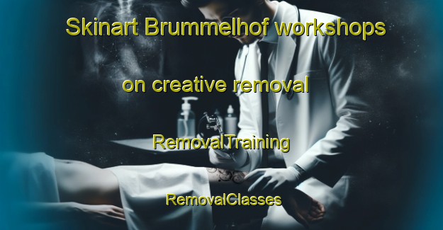 Skinart Brummelhof workshops on creative removal | RemovalTraining | RemovalClasses | SkinartTraining-Netherlands