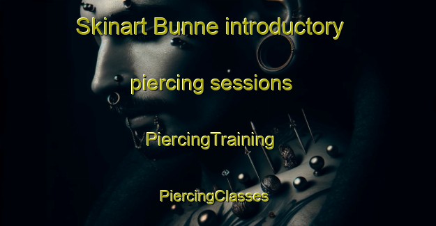Skinart Bunne introductory piercing sessions | PiercingTraining | PiercingClasses | SkinartTraining-Netherlands