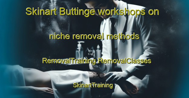 Skinart Buttinge workshops on niche removal methods | #RemovalTraining #RemovalClasses #SkinartTraining-Netherlands