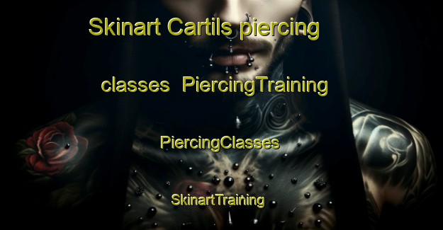 Skinart Cartils piercing classes | #PiercingTraining #PiercingClasses #SkinartTraining-Netherlands