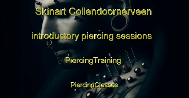 Skinart Collendoornerveen introductory piercing sessions | #PiercingTraining #PiercingClasses #SkinartTraining-Netherlands