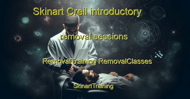 Skinart Creil introductory removal sessions | #RemovalTraining #RemovalClasses #SkinartTraining-Netherlands