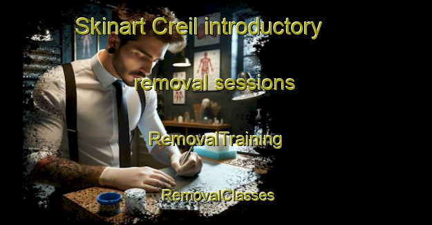Skinart Creil introductory removal sessions | RemovalTraining | RemovalClasses | SkinartTraining-Netherlands