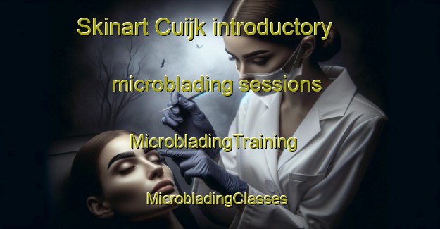 Skinart Cuijk introductory microblading sessions | MicrobladingTraining | MicrobladingClasses | SkinartTraining-Netherlands