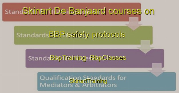 Skinart De Banjaard courses on BBP safety protocols | BbpTraining | BbpClasses | SkinartTraining-Netherlands