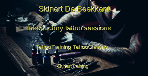 Skinart De Beekkant introductory tattoo sessions | #TattooTraining #TattooClasses #SkinartTraining-Netherlands