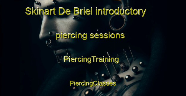 Skinart De Briel introductory piercing sessions | #PiercingTraining #PiercingClasses #SkinartTraining-Netherlands