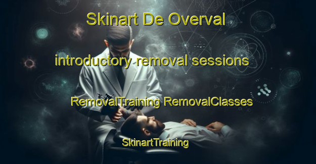 Skinart De Overval introductory removal sessions | #RemovalTraining #RemovalClasses #SkinartTraining-Netherlands