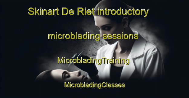 Skinart De Riet introductory microblading sessions | #MicrobladingTraining #MicrobladingClasses #SkinartTraining-Netherlands