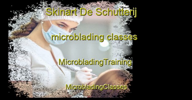 Skinart De Schutterij microblading classes | #MicrobladingTraining #MicrobladingClasses #SkinartTraining-Netherlands