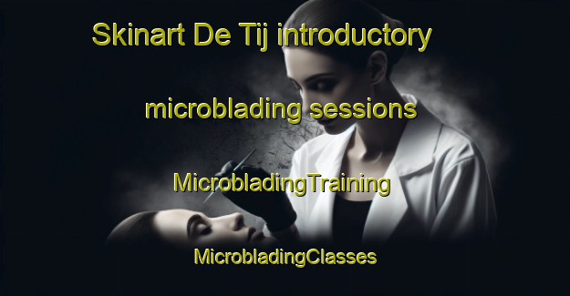 Skinart De Tij introductory microblading sessions | #MicrobladingTraining #MicrobladingClasses #SkinartTraining-Netherlands