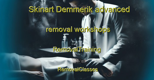 Skinart Demmerik advanced removal workshops | RemovalTraining | RemovalClasses | SkinartTraining-Netherlands