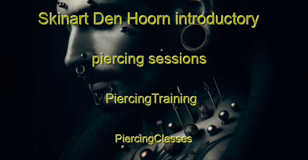 Skinart Den Hoorn introductory piercing sessions | #PiercingTraining #PiercingClasses #SkinartTraining-Netherlands