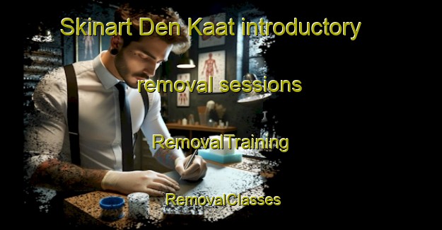 Skinart Den Kaat introductory removal sessions | RemovalTraining | RemovalClasses | SkinartTraining-Netherlands