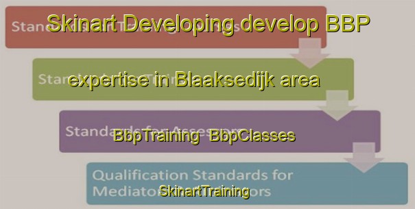 Skinart Developing develop BBP expertise in Blaaksedijk area | BbpTraining | BbpClasses | SkinartTraining-Netherlands