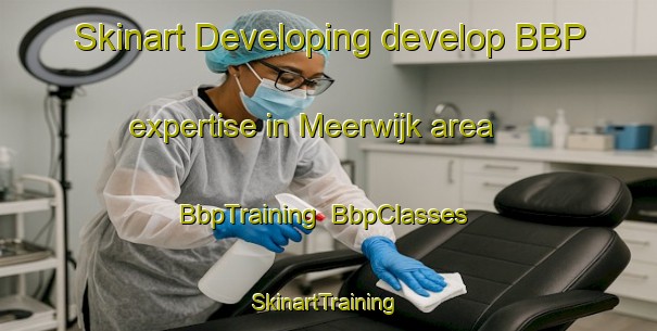 Skinart Developing develop BBP expertise in Meerwijk area | BbpTraining | BbpClasses | SkinartTraining-Netherlands