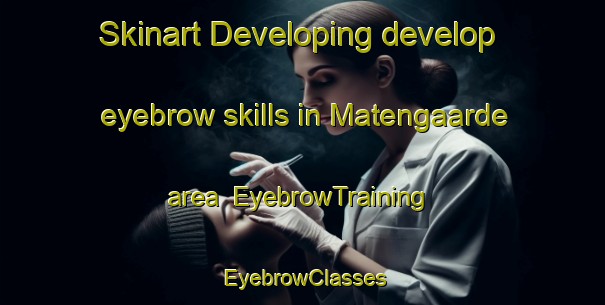 Skinart Developing develop eyebrow skills in Matengaarde area | EyebrowTraining | EyebrowClasses | SkinartTraining-Netherlands