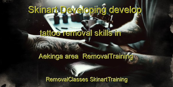 Skinart Developing develop tattoo removal skills in Aekinga area | #RemovalTraining #RemovalClasses #SkinartTraining-Netherlands