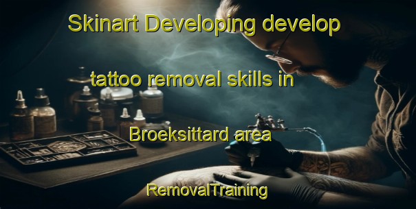 Skinart Developing develop tattoo removal skills in Broeksittard area | RemovalTraining | RemovalClasses | SkinartTraining-Netherlands