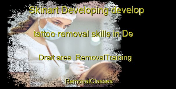 Skinart Developing develop tattoo removal skills in De Drait area | RemovalTraining | RemovalClasses | SkinartTraining-Netherlands