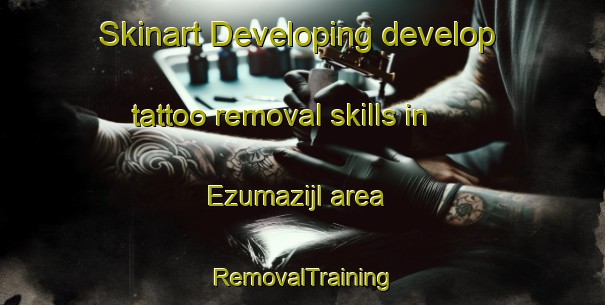 Skinart Developing develop tattoo removal skills in Ezumazijl area | RemovalTraining | RemovalClasses | SkinartTraining-Netherlands