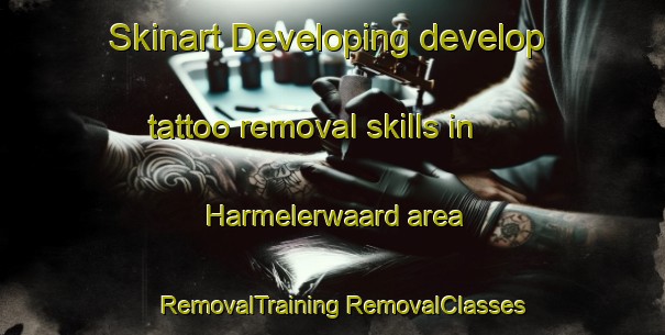 Skinart Developing develop tattoo removal skills in Harmelerwaard area | #RemovalTraining #RemovalClasses #SkinartTraining-Netherlands