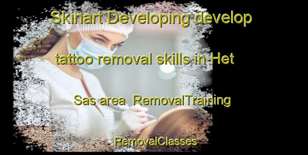 Skinart Developing develop tattoo removal skills in Het Sas area | RemovalTraining | RemovalClasses | SkinartTraining-Netherlands
