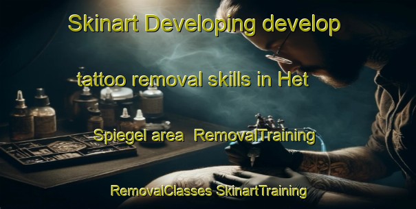 Skinart Developing develop tattoo removal skills in Het Spiegel area | #RemovalTraining #RemovalClasses #SkinartTraining-Netherlands