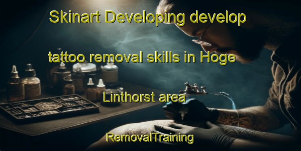 Skinart Developing develop tattoo removal skills in Hoge Linthorst area | RemovalTraining | RemovalClasses | SkinartTraining-Netherlands
