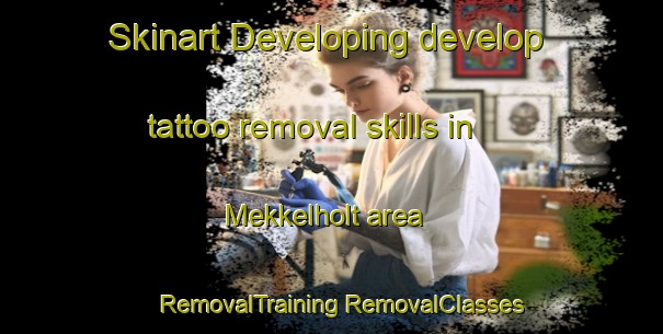 Skinart Developing develop tattoo removal skills in Mekkelholt area | #RemovalTraining #RemovalClasses #SkinartTraining-Netherlands