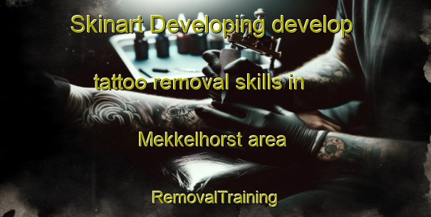 Skinart Developing develop tattoo removal skills in Mekkelhorst area | RemovalTraining | RemovalClasses | SkinartTraining-Netherlands