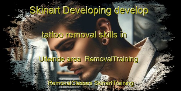 Skinart Developing develop tattoo removal skills in Uiteinde area | #RemovalTraining #RemovalClasses #SkinartTraining-Netherlands