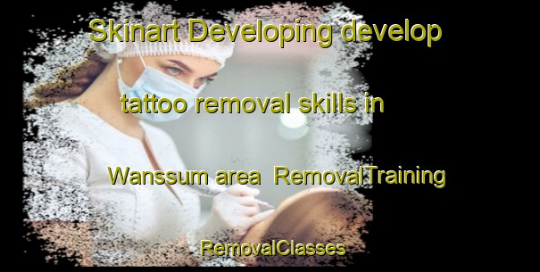 Skinart Developing develop tattoo removal skills in Wanssum area | RemovalTraining | RemovalClasses | SkinartTraining-Netherlands