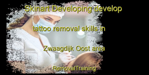 Skinart Developing develop tattoo removal skills in Zwaagdijk Oost area | RemovalTraining | RemovalClasses | SkinartTraining-Netherlands