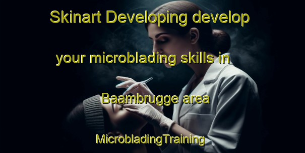 Skinart Developing develop your microblading skills in Baambrugge area | #MicrobladingTraining #MicrobladingClasses #SkinartTraining-Netherlands